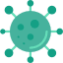 HPV